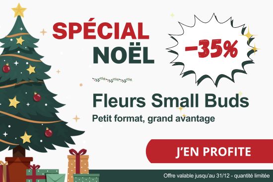 Fleurs Small Buds en promo