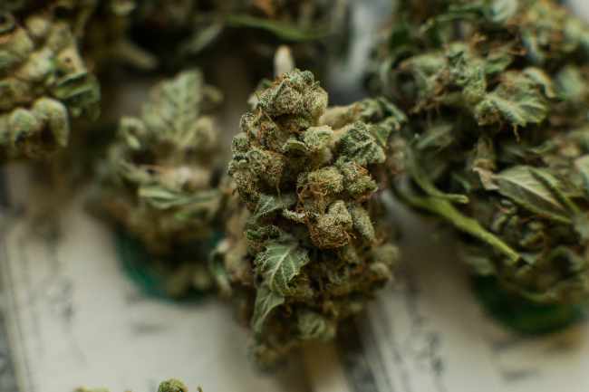 Produits CBD livrés à Mazamet