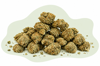 Petite têtes de fleurs CBD