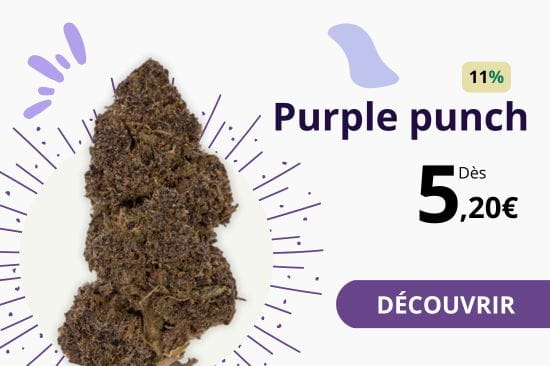 Purple Punch cbd shop
