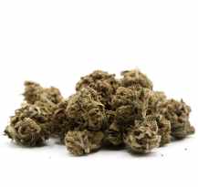 Small Buds CBD de petit calibre en macro.