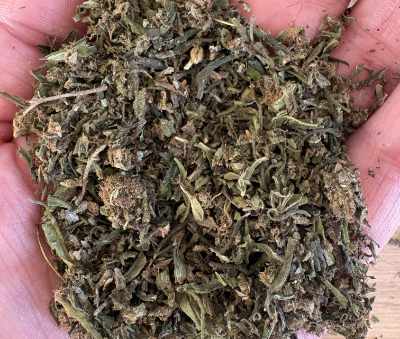 Trim de CBD Harlequin tenu dans une main ouverte : petits morceaux de feuilles et de fleur, vert kaki, avec des pointes brunes et orangées