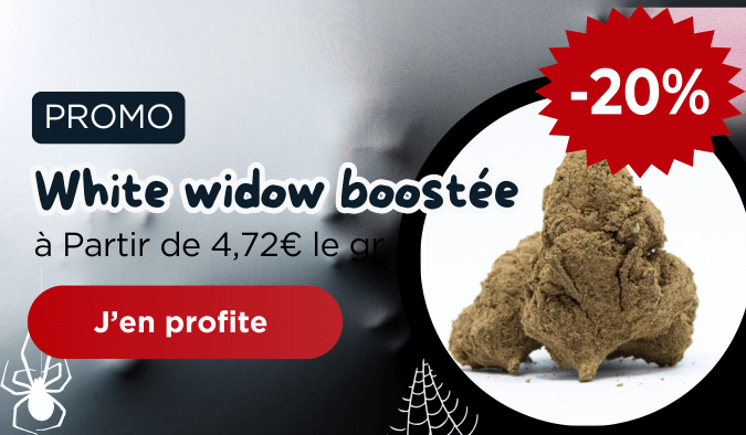 Promo bubble gum cbd