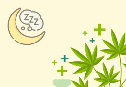CBD Sommeil : Comment le CBD aide à mieux dormir ?