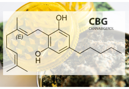 CBG et CBD quelle différence ?